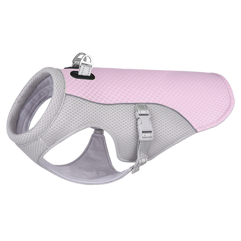 Frenchie Cooling Vest™ – Keep Your Dog Cool on Walks
